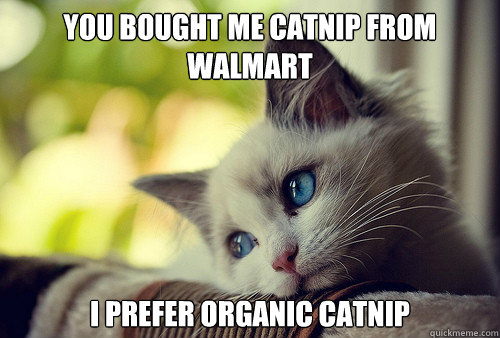 You bought me catnip from Walmart I prefer organic catnip   First World Problems Cat