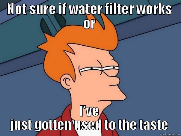 I've always wondered this - NOT SURE IF WATER FILTER WORKS OR I'VE JUST GOTTEN USED TO THE TASTE Futurama Fry