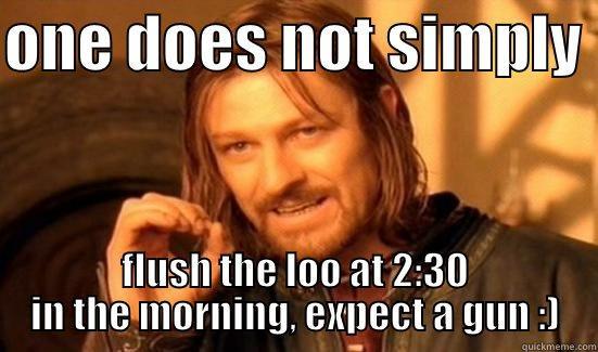 one does not... - ONE DOES NOT SIMPLY  FLUSH THE LOO AT 2:30 IN THE MORNING, EXPECT A GUN :) Boromir