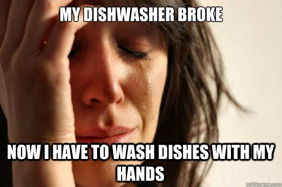 my dishwasher broke Now I have to wash dishes with my hands  First World Problems