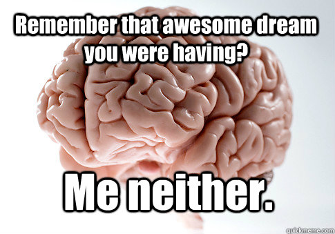 Remember that awesome dream you were having? Me neither.  Scumbag Brain