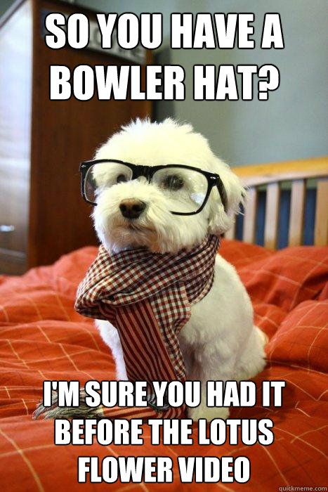 So you have a Bowler hat? I'm sure you had it before the Lotus Flower Video  Hipster Dog