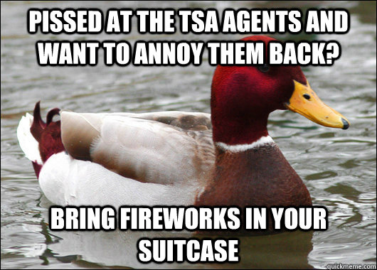 Pissed at the TSA Agents and want to annoy them back? Bring fireworks in your suitcase - Pissed at the TSA Agents and want to annoy them back? Bring fireworks in your suitcase  Malicious Advice Mallard