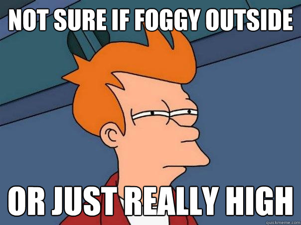 Not sure if foggy outside or just really high  Futurama Fry