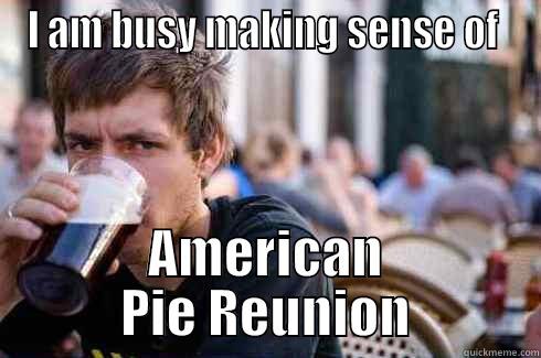 I AM BUSY MAKING SENSE OF  AMERICAN PIE REUNION Lazy College Senior