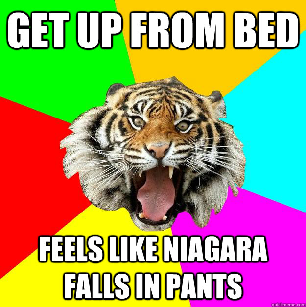 get up from bed Feels like niagara falls in pants - get up from bed Feels like niagara falls in pants  Time of the Month Tiger