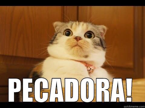 gato pecador -  PECADORA! Misc