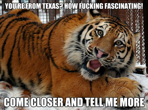 You're from Texas? How fucking fascinating! come closer and tell me more  Fascinated Tiger