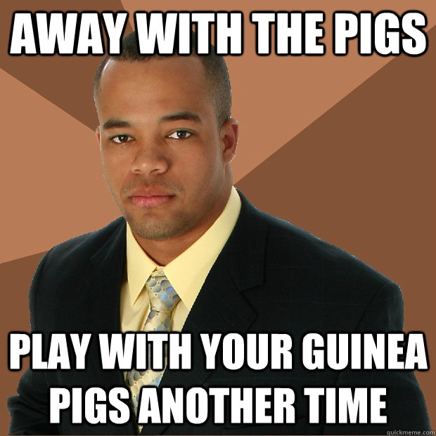 away with the pigs play with your guinea pigs another time  Successful Black Man