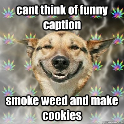 cant think of funny caption smoke weed and make cookies - cant think of funny caption smoke weed and make cookies  Stoner Dog