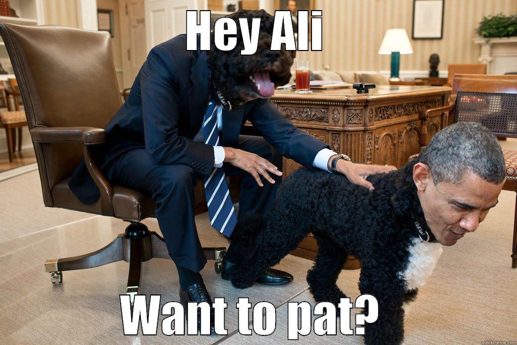 HEY ALI WANT TO PAT?  Misc