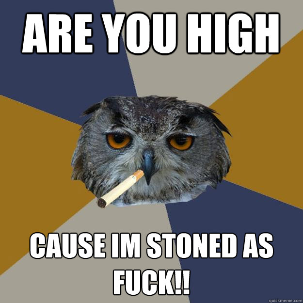 Are you high cause im stoned as fuck!!  Art Student Owl