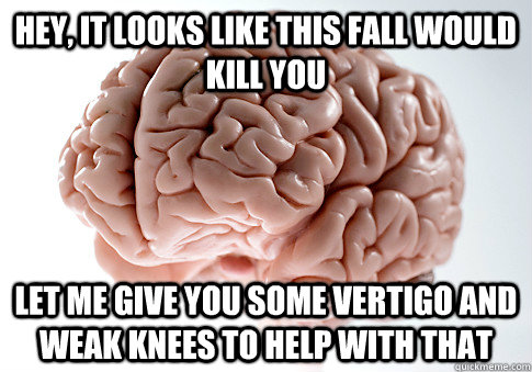 Hey, it looks like this fall would kill you let me give you some vertigo and weak knees to help with that  Scumbag Brain