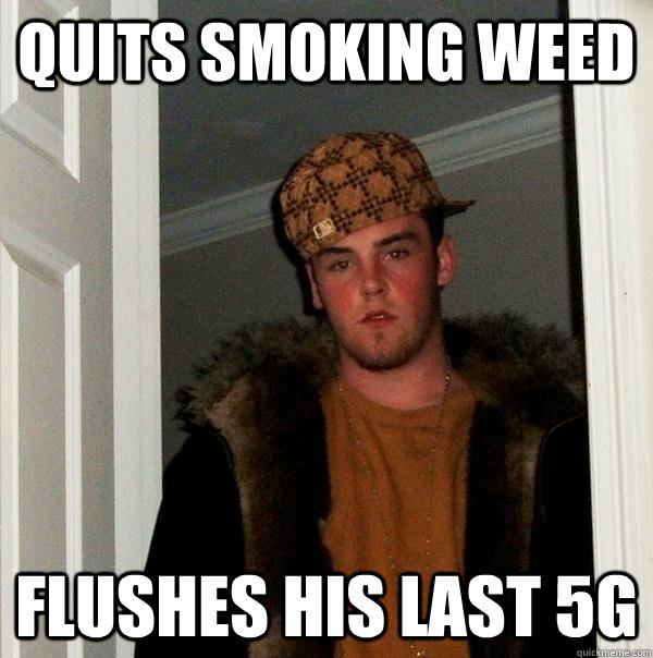 Quits smoking weed flushes his last 5g  Scumbag Steve