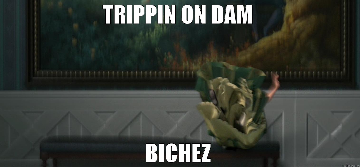 TRIPPIN ON DAM BICHEZ Misc