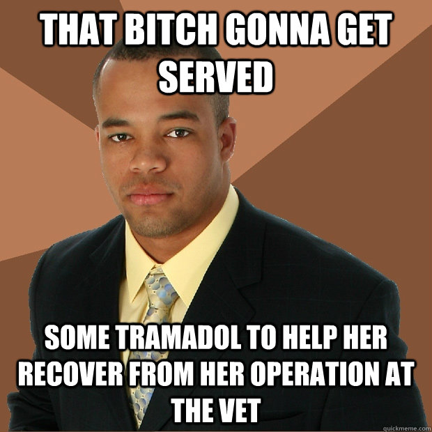 That bitch gonna get served Some tramadol to help her recover from her operation at the vet  Successful Black Man