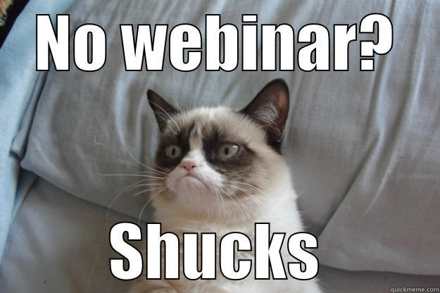 funny cat - NO WEBINAR? SHUCKS Grumpy Cat