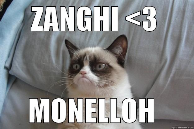 ZANGHI <3 MONELLOH  Grumpy Cat