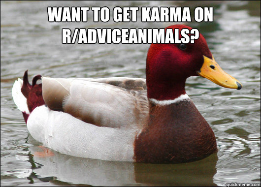 Want to get karma on r/adviceanimals?   Malicious Advice Mallard