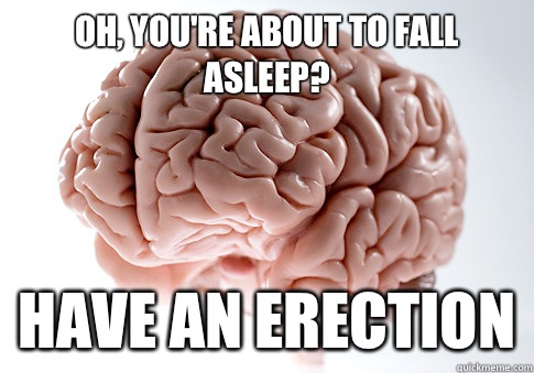 Oh, you're about to fall asleep? Have an erection  Scumbag Brain