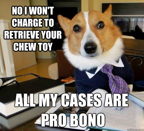 no i won't charge to retrieve your chew toy all my cases are
 pro bono  Lawyer Dog