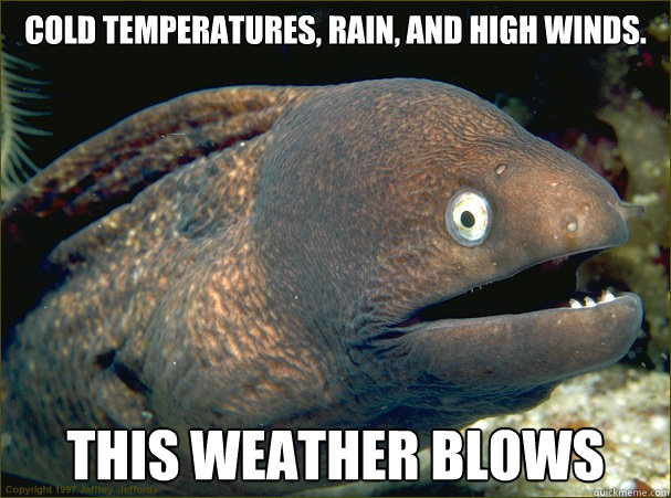 Cold temperatures, rain, and high winds. This weather blows  Bad Joke Eel