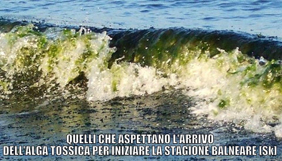  QUELLI CHE ASPETTANO L'ARRIVO DELL'ALGA TOSSICA PER INIZIARE LA STAGIONE BALNEARE [SK] Misc