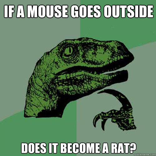 if a mouse goes outside does it become a rat? - if a mouse goes outside does it become a rat?  Philosoraptor