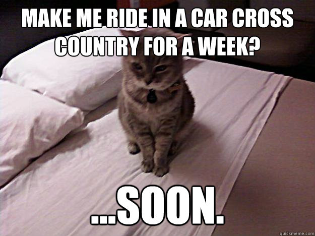 Make me ride in a car cross country for a week? ...SOON.  