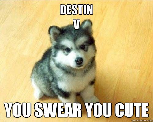 Destin    
V You swear you cute  Baby Courage Wolf