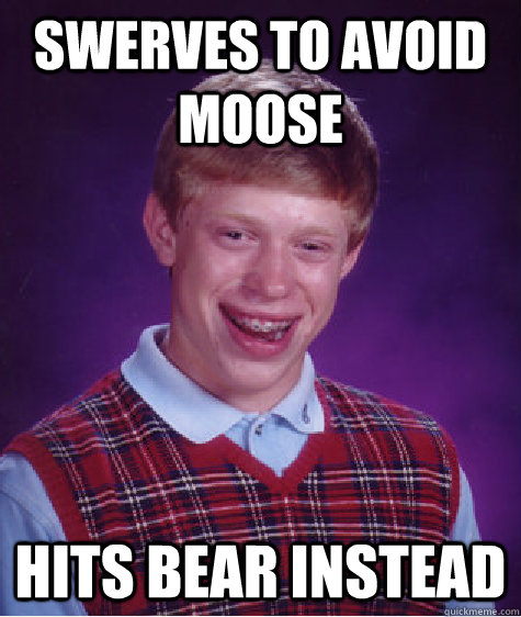 swerves to avoid moose hits bear instead  Bad Luck Brian