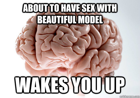 About to have sex with beautiful model wakes you up  Scumbag Brain