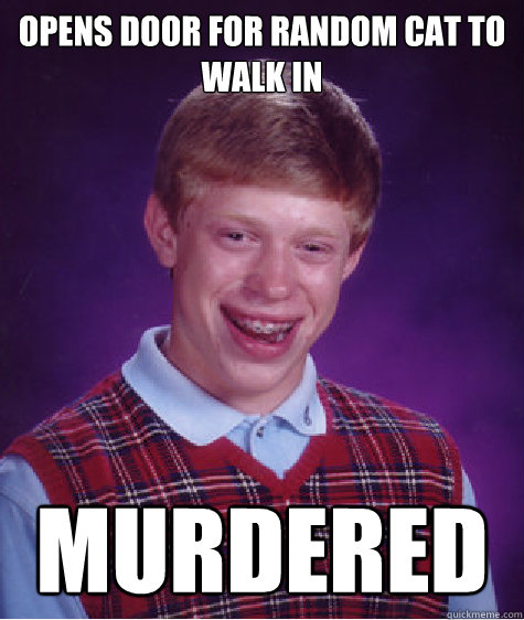 Opens door for random cat to walk in Murdered - Opens door for random cat to walk in Murdered  Bad Luck Brian