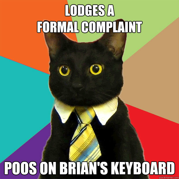 LODGES a 
formal complaint Poos on brian's keyboard  Business Cat