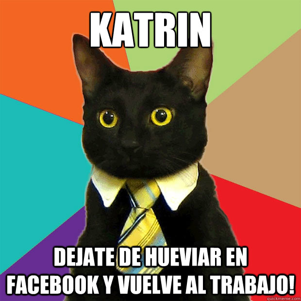 katrin dejate de hueviar en facebook y vuelve al trabajo!  Business Cat