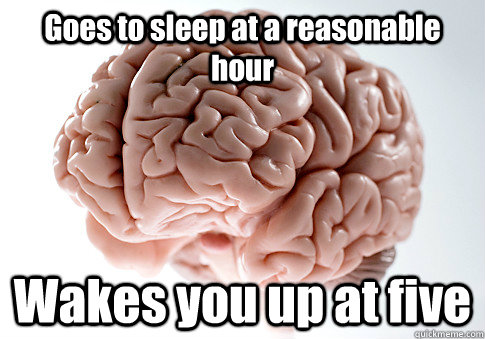 Goes to sleep at a reasonable hour Wakes you up at five   Scumbag Brain