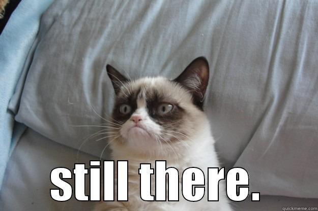 STILL THERE. -  STILL THERE. Grumpy Cat