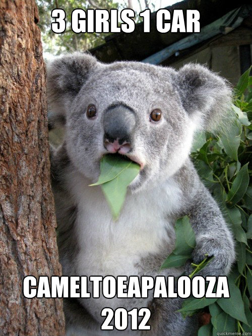 3 girls 1 car cameltoeapalooza 2012  Shocked Koala