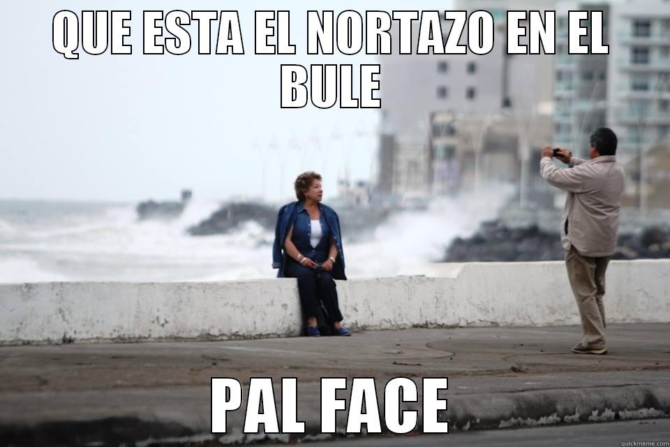 QUE ESTA EL NORTAZO EN EL BULE PAL FACE Misc