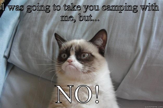 No campin on my yard - I WAS GOING TO TAKE YOU CAMPING WITH ME, BUT... NO! Grumpy Cat