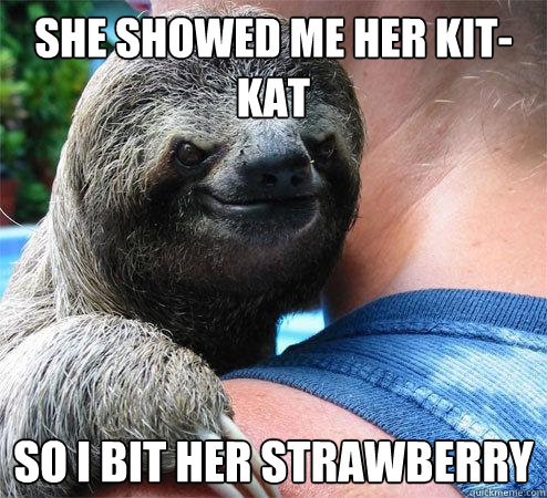 she showed me her kit-kat so i bit her strawberry  Suspiciously Evil Sloth