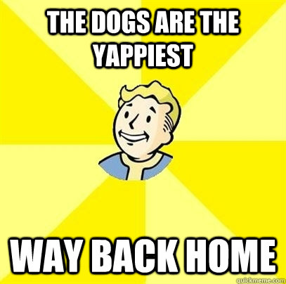 The dogs are the yappiest way back home  Fallout 3