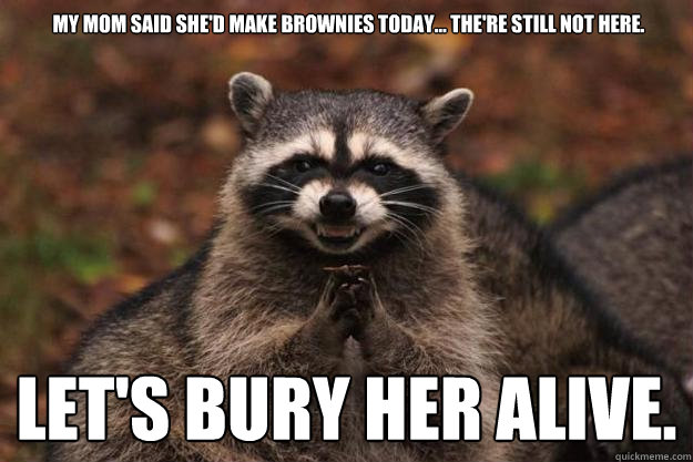 My mom said she'd make brownies today... the're still not here. Let's bury her alive.  Evil Plotting Raccoon