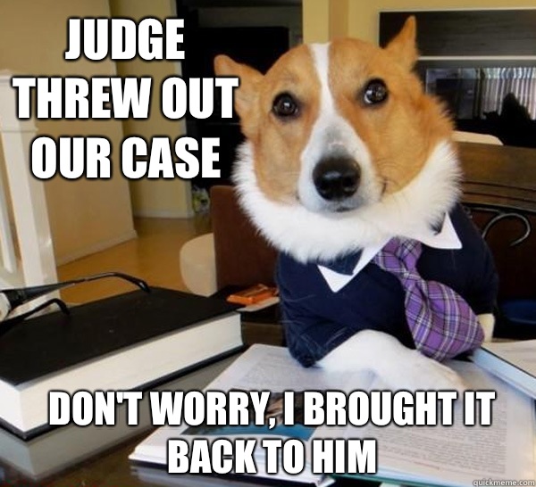 Judge threw out our case don't worry, I brought it back to him  Lawyer Dog