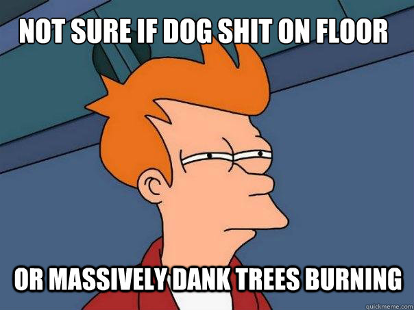 not sure if dog shit on floor or massively dank trees burning - not sure if dog shit on floor or massively dank trees burning  Futurama Fry