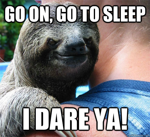 Go on, go to sleep I DARE YA!  Suspiciously Evil Sloth