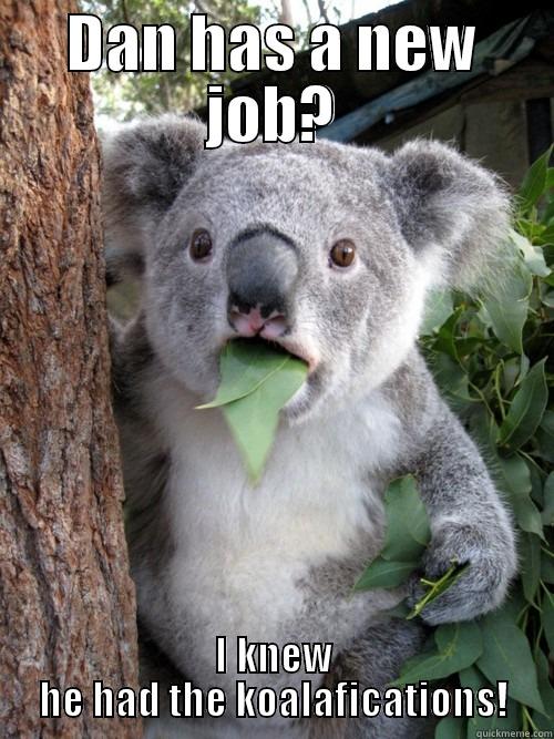 New job! - DAN HAS A NEW JOB? I KNEW HE HAD THE KOALAFICATIONS! koala bear