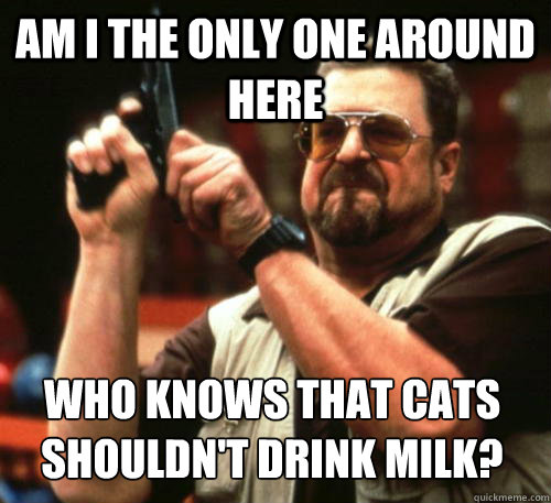 Am i the only one around here Who knows that cats shouldn't drink milk?  Am I The Only One Around Here