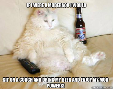 If I Were A Moderaor I would Sit on a couch and drink my beer and enjoy my mod powers!  