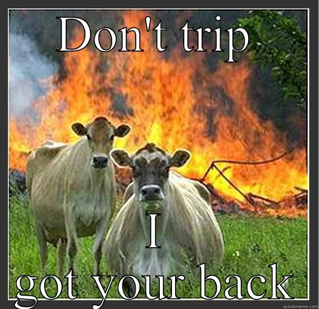 DON'T TRIP I GOT YOUR BACK Evil cows